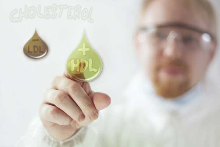 What-Is-Cholesterol